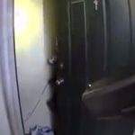 Grabación muestra cuando un hombre ataca a policías y usa arma modificada que dispara 30 veces en tres segundos