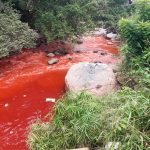 VIDEO | Río Cusmajate en Escuintla se tiñe de rojo; vecinos esperan que autoridades den con responsables