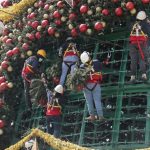 Árbol Gallo: por segundo año consecutivo festival navideño será virtual y trae muchas sorpresas