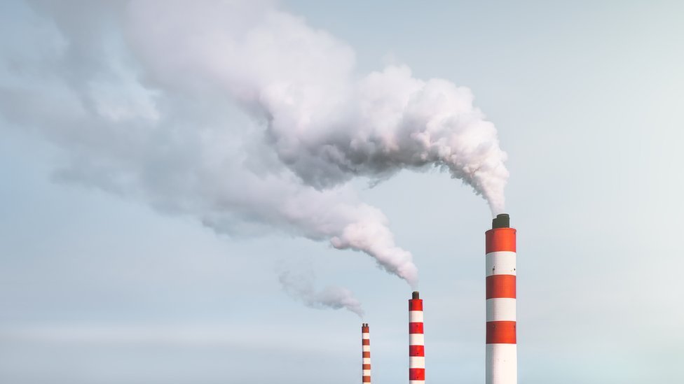 Medio ambiente: “El concepto de cero neto es una trampa peligrosa”