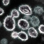 Identifican en Brasil los dos primeros casos de la variante ómicron en Latinoamérica