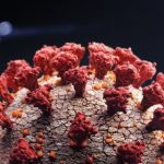 NeoCoV: ¿qué es este tipo de coronavirus que “podría saltar de los murciélagos a los humanos”?