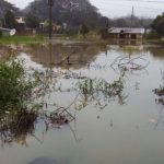 Lluvia de las últimas horas causa daños en más de 250 casas en el territorio nacional