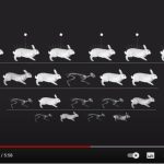 La revolucionaria teoría de la evolución de Darwin (y cómo cambió para siempre nuestra comprensión del mundo)