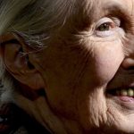 Medio ambiente: por qué Jane Goodall cree que aún hay esperanza ante el cambio climático