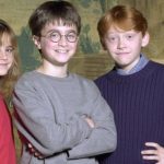 Harry Potter: qué fue del elenco 20 años después de la primera película sobre el famoso mago
