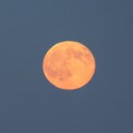 El eclipse lunar de noviembre 2021 será el más largo del siglo