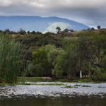 El extraordinario regreso del pez tequila a los ríos de México