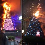 Hombre se sube a árbol de Navidad en Nueva York, le prende fuego y es arrestado
