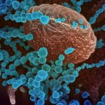 Lo que se sabe de la teoría de un científico que afirma que ómicron pudo mutar de un paciente con VIH