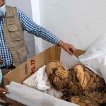 Las impresionantes imágenes de una momia que fue hallada en Perú y que impresiona a los arqueólogos