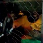Video: la heroica acción de los bomberos al evitar que un hombre saltara del puente El Incienso