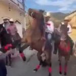 Cantante agradece apoyo e informa de su estado de salud luego de haber sido golpeado en el rostro por un caballo