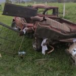 Una persona pierde la vida y varias heridas en fatal accidente de tránsito en la Autopista Palín-Escuintla