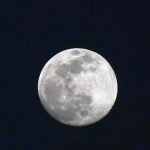 Qué es y cuándo ver la “Luna del Lobo” y por qué se llama así