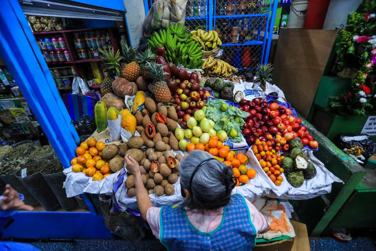Gobierno de Guatemala analiza medidas contra crisis causada por el conflicto entre Rusia y Ucrania, que sería peor a la del covid-19