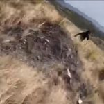 Video: sujetos armados y con gorros pasamontaña asaltan a periodistas mexicanos en las faldas del Volcán de Fuego