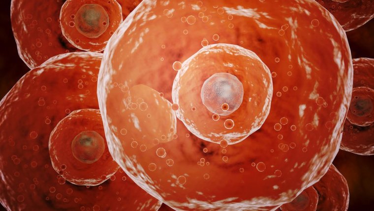 Coronavirus inmunidad