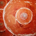 Covid: qué es la inmunidad híbrida y cómo te protege contra las infecciones como la del coronavirus