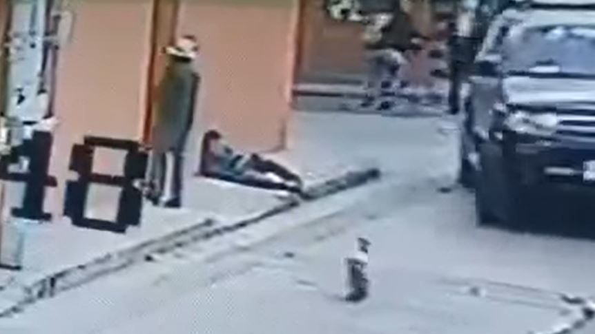 PERRO ARROLLADO EN QUICHÉ