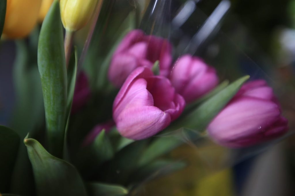 Vendedores de flores se preparan para la celebración del día del cariño