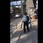 Video muestra cómo un usuario del Transmetro defiende a agente de la policía municipal