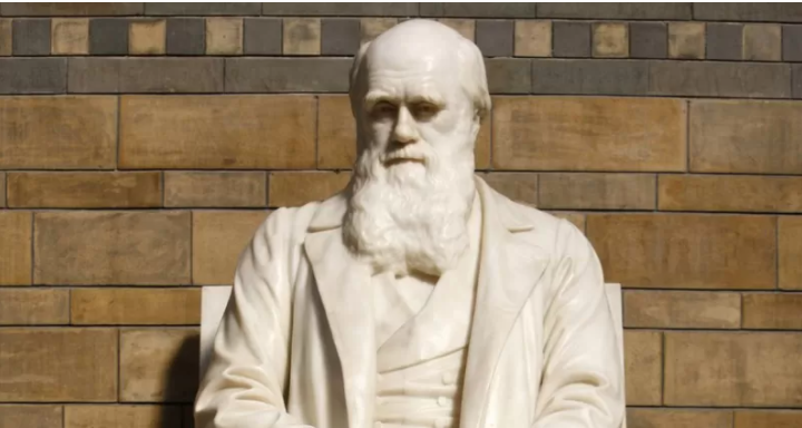 Cómo el sexismo de la era victoriana influyó en la teoría de la evolución de Darwin