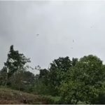 Tornado en Izabal: Captan en video el fenómeno que afectó en comunidades de Izabal