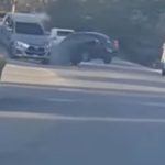 Video: Así fue la colisión entre un automóvil y un picop en Petén