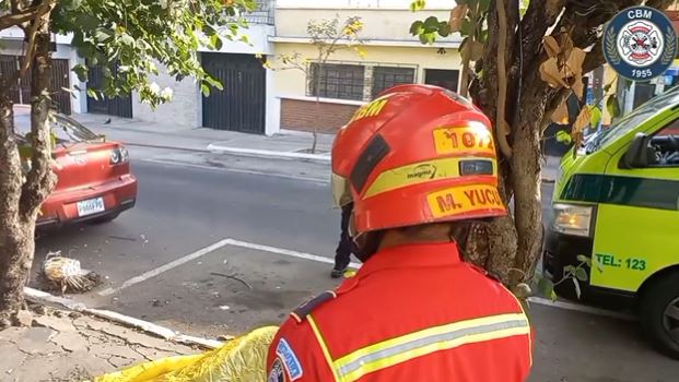HALLAN CADÁVER EN LA ZONA 4 DE LA CAPITAL