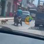 Graban al maltrato que sufrió un perro por parte de motorista en Alta Verapaz