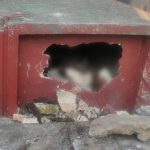 “Extraía pedazos de ataúd”: PNC captura a hombre que fue sorprendido cuando profanaba una tumba
