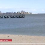 “Estaban en un pequeño bote”: qué se sabe de los guatemaltecos que habrían muerto ahogados frente a las costas de Stamford
