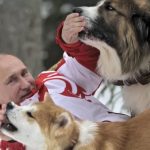 Rusia y Ucrania | Investigación BBC: los misteriosos grupos de Facebook que apoyan a Putin