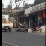 Video: Así perdió el equilibrio un motorista y junto a su acompañante cayeron en medio del tránsito