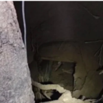 El caso del joven que inesperadamente cayó dentro de un narcotúnel mientras dormía