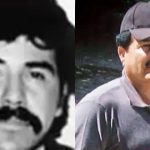Qué se sabe sobre la millonaria recompensa que ofrece la DEA por los máximos líderes del Cártel de Sinaloa