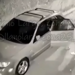Video muestra cuando dos sujetos roban en menos de un minuto varias pertenencias que estaban en un vehículo