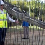 El polémico muro que República Dominicana construye para dividir la isla que comparte con Haití | Especial BBC Mundo