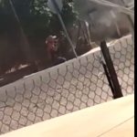 Captan el enfrentamiento armado entre supuestos narcos y policía en medio de un poblado