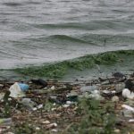 El Lago de Amatitlán se convierte en pantano, mientras basura que arrastra el río Villalobos no deja de llegar
