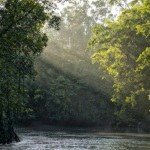 Ratanabá: por qué la leyenda de la ciudad perdida en el Amazonas “no tiene sentido”, según un arqueólogo