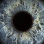 Los científicos que “revivieron” las células de la retina de un donante muerto (y cómo puede revolucionar las terapias para enfermedades del ojo)