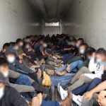 Perro policía descubre a 80 migrantes guatemaltecos y de otros países escondidos en camión de carga en Texas