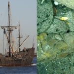 Hallan tesoro cerca de un galeón español hundido hace 300 años en Cartagena, Colombia