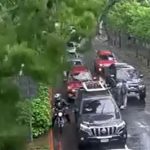 Cámaras captan el momento en que una rama de árbol cae encima de varios vehículos en un tramo de zona 10