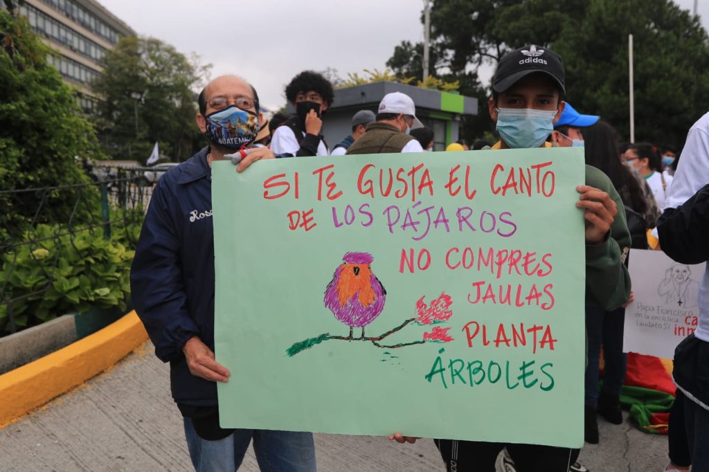Dia del Medio Ambiente: Organizaciones marchan en Guatemala buscando medidas para proteger la flora y fauna