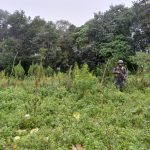 Autoridades presentan primeros resultados del estado de Sitio y detallan cómo operaban grupos armados en Ixchiguán y Tajumulco