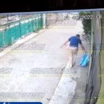 Cámara capta el momento en que un hombre abandona a varios gatos en la vía pública