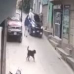 Cámara capta el momento en que un transeúnte se salva de milagro de ser arrollado por vehículo